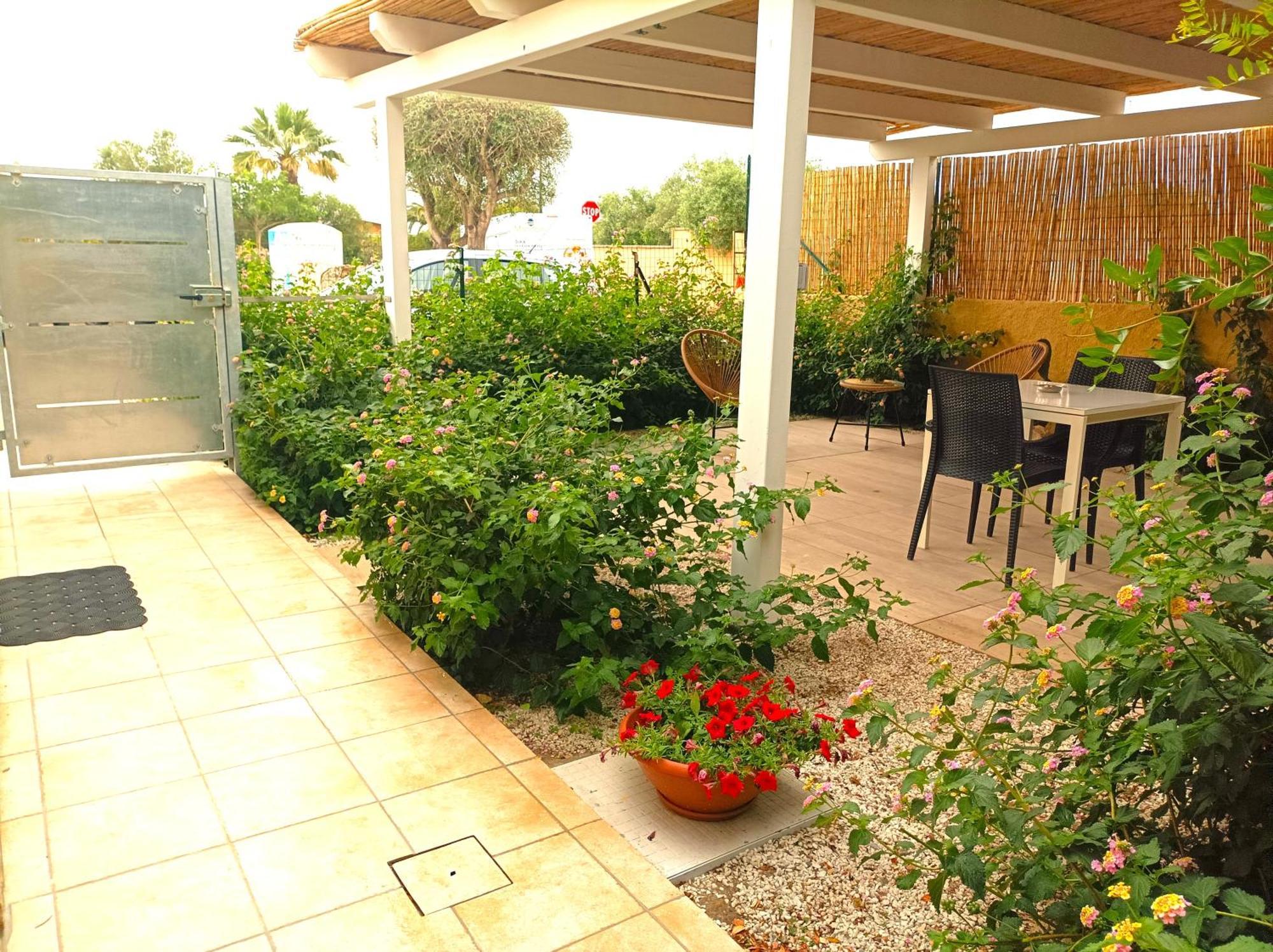 Lantane * Olbia